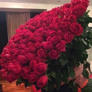 Meet your Posher, Erika